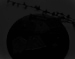 web-co027