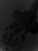 web-co044